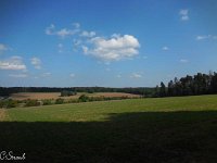 WWW Wanderung Calw-29